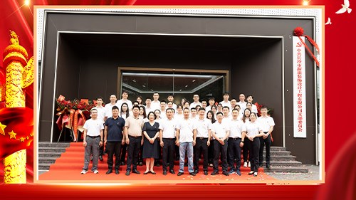 突出黨建引領 跑出發(fā)展加速度---長沙市新浪裝飾黨支部正式揭牌成立！